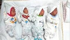 تولد بیش از ۱۹ هزار چند قلو در کشور طی سال گذشته/ رکورداری اصفهان در چهارقلوزایی