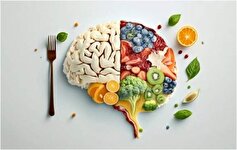رژیم غذایی چه تاثیری بر سلامت مغز می‌گذارد؟