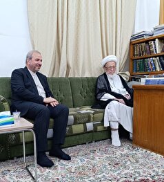 دیدار سفیر ایران با آیت‌الله اسحاق فیاض در نجف اشرف