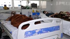 افزایش مبتلایان به تب کنگو در افغانستان