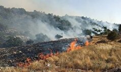 مهار آتش سوزی در جنگل‌های قلات شهرستان سرچهان