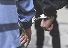 ۴۶ سارق در کهگیلویه دستگیر شد