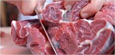 هنگام خرید گوشت به چه چیزهایی باید دقت کنیم؟