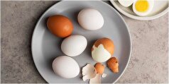 بیماران قلبی تخم مرغ مصرف بکنند یا خیر؟