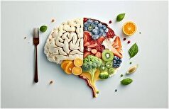 این خوراکی‌ها به تقویت مغز کمک شایانی می‌کنند