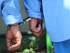 شناسایی و دستگیری سارقی با ۲۱ فقره سرقت در سنندج