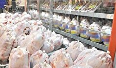 عراق مقصد صادرات ۱۵۰ تن گوشت مرغ منجمد شد