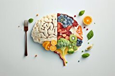با این خوراکی‌های با کیفیت و سرشار از ویتامین کارکرد مغزتان را بالا ببرید