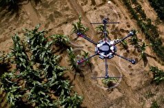 هوش مصنوعی به کمک کشاورزان می‌آید/ شبیه‌سازی کشت و زرع در اراضی کشاروزی