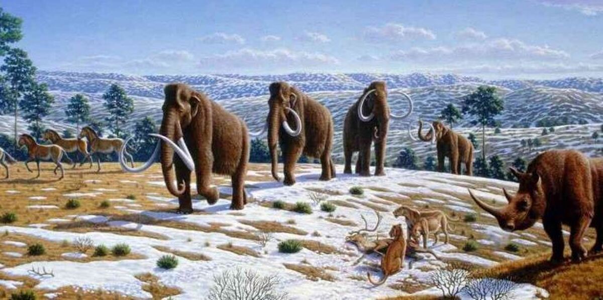صرف هزینه میلیون دلاری برای بازخوانی گونه‌های منقرض شده