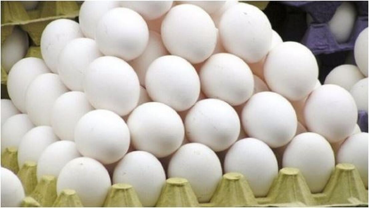 چگونه متوجه سالم بودن تخم مرغ شویم؟