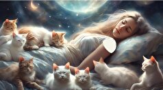 دیدن گربه در خواب چه معنایی می‌تواند داشته باشد؟