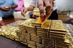 واردات طلا نسبت به سال گذشته ۳.۸ برابر افزایش داشته است