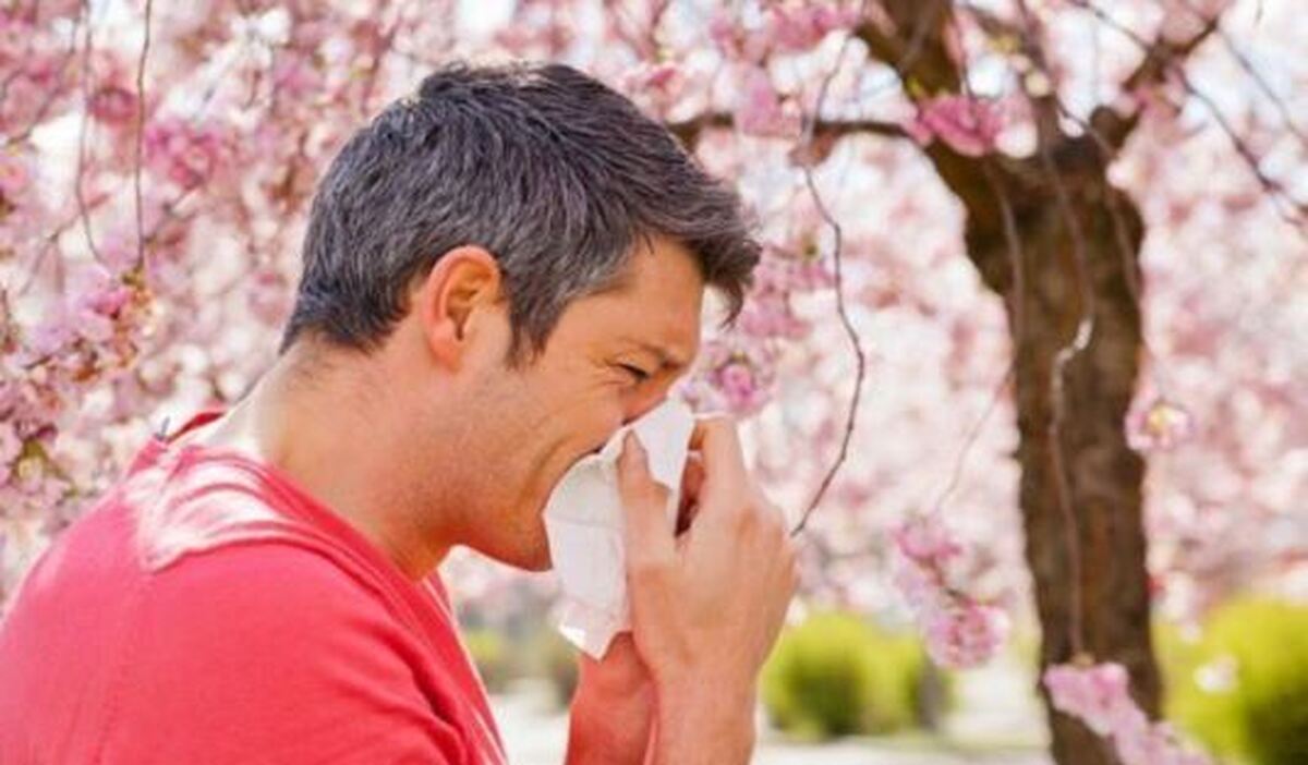 برای رهایی از آلرژی‌های بهار به طب سنتی ایرانی روی بیاورید!