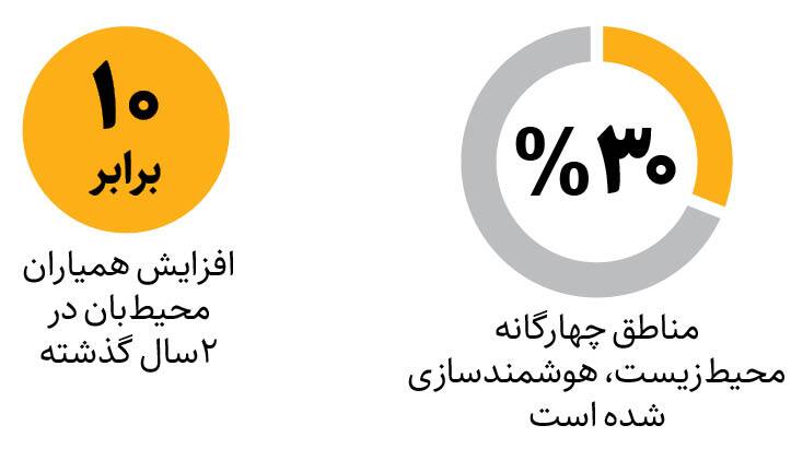 ناگهان طبیعت پر از خرس و پلنگ شد