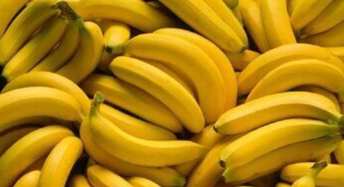 شش گزینه گیاهی برای کاهش اشتها و رسیدن به لاغری!