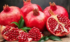 این میوه‌ها بیماری آلزایمر را درمان میکنند!