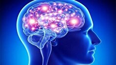 بهبود عملکرد مغز با مصرف ویتامین‌های گروه ب وب کمپلکس