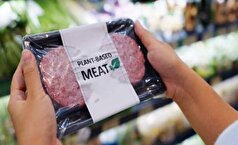 گوشت‌های گیاهی جایگزین سالمی برای گوشت معمولی هستند؟
