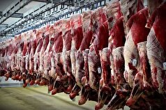 رشد ۱۲ درصدی تولید گوشت قرمز در استان قزوین