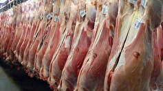 تولید ۱۰ هزار و ۸۴۱ تن گوشت قرمز در استان قزوین