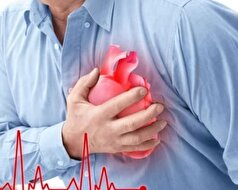 چربی‌خون، عامل بروز بیماری‌های قلبی