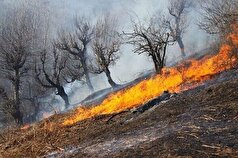 آتش‌سوزی در مراتع کاج شهرستان اردل مهار شد