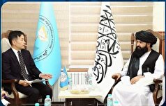 سفیر ژاپن: جهان را برای تعامل با طالبان تشویق می‌کنیم
