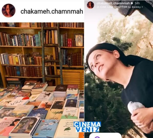 سر و کله چکامه چمن بعد از ۱۰ سال در ایران پیدا شد