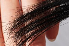چگونه نوک مو‌ها دچار موخوره میشود؟