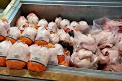 صادرات مرغ به‌صورت جدی دنبال شود