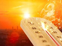 گرمای شدید در کرمان، از گرمازدگی ۵۰۰ شهدادی تا خسارت ۱۵۰ میلیاردی به بخش کشاورزی