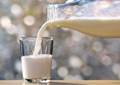فهرستی از تمام ویتامین‌ها و مواد معدنی شیر که برای سلامتی مفیدند!