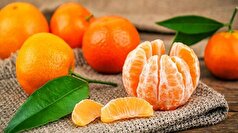 ۵ خاصیت مهم نارنگی یافا که شاید نمی‌دانید