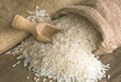 قیمت برنج ایرانی نسبت به ماه قبل ۱.۸ درصد افزایش یافت