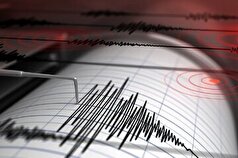 زلزله ۴.۸ ریشتری شمال غرب آرژانتین را لرزاند
