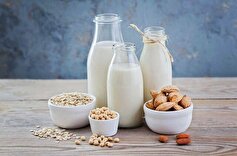 نوشیدنی‌های گیاهی جایگزین مناسبی برای شیر هستند؟