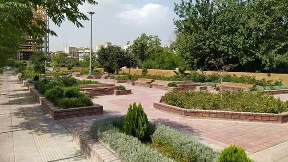 کاشت بیش از ۲۰ هزار اصله نهال تا افزایش سرانه فضای سبز در دوگنبدان