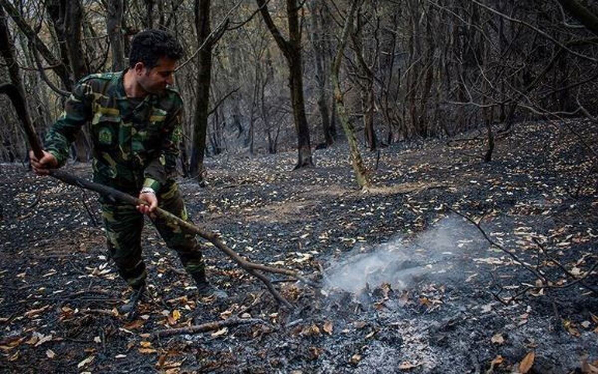 افزایش ۲۵۶ آتش‌سوزی‌های منابع طبیعی در سال جاری