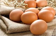 راهکار‌های پیشگیری از فساد تخم مرغ
