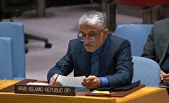 ایروانی: ایران به تنهایی امکان مدیریت جریان پناهندگان افغان و مواد مخدر را ندارد