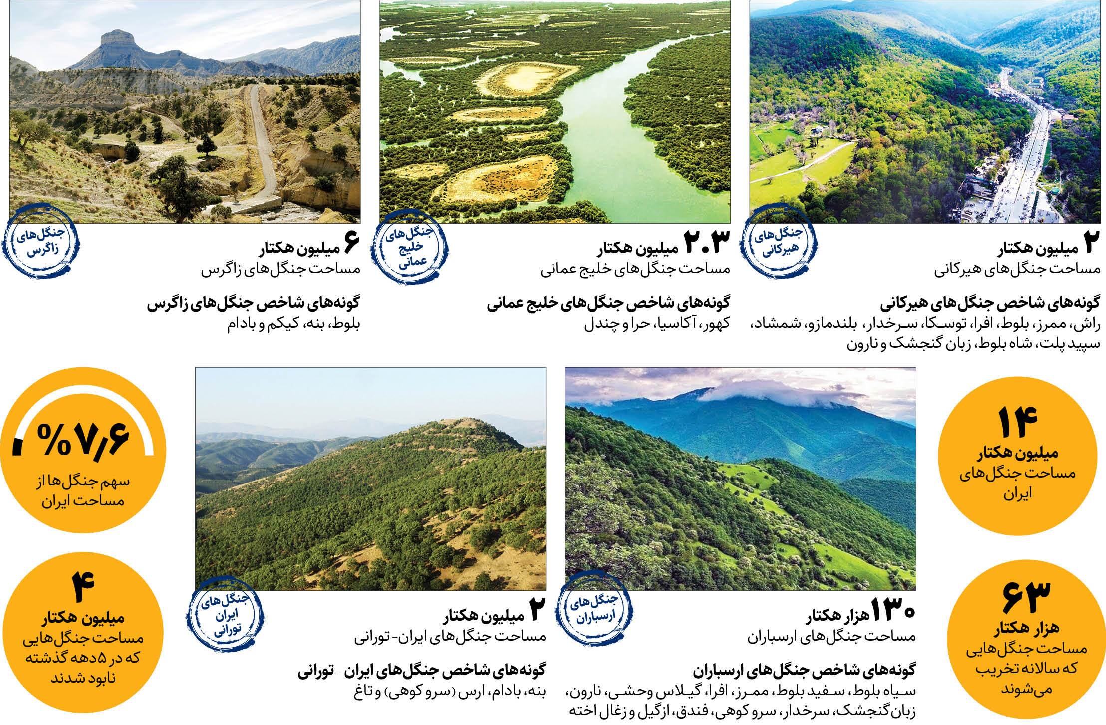 طمع انسان‌ها سدی جلو درمان ریه‌های ایران