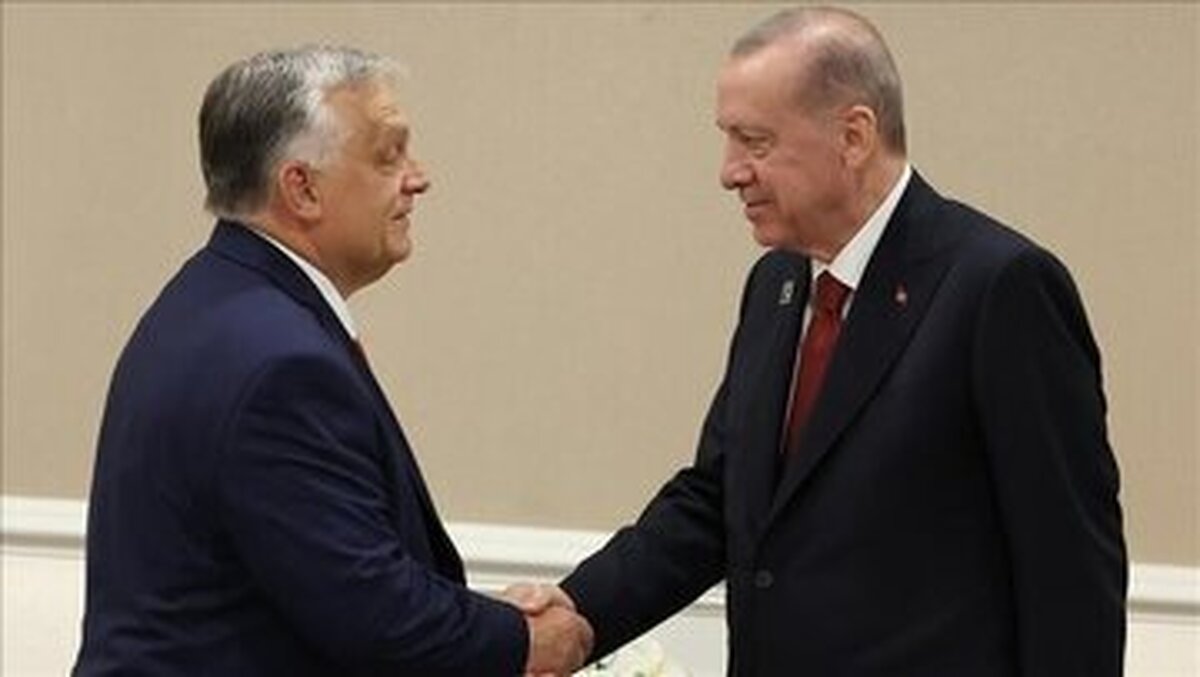 خواسته اردوغان برای پیوستن ترکیه به اتحادیه اروپا