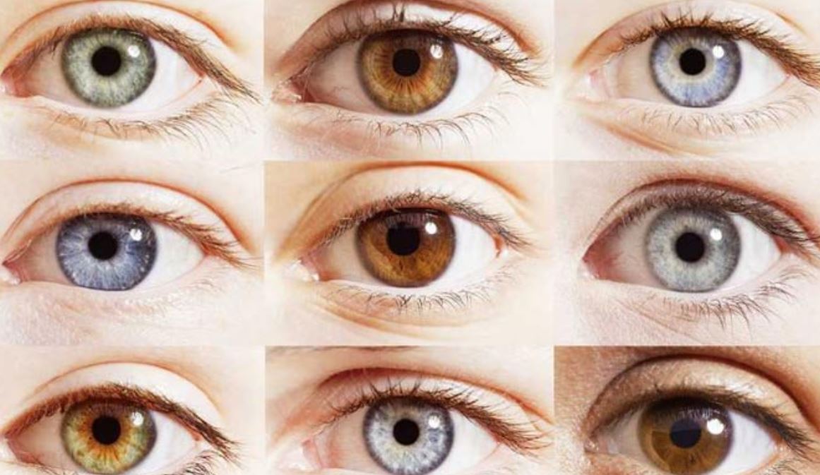 تنوع رنگ چشم‌ها چگونه بوجود آمدند؟