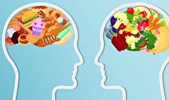 یافته‌های جالب درمورد تاثیر مستقیم تغذیه بر عملکرد شناختی مغز