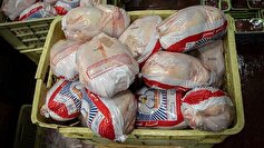 اجرای طرح خودکفایی سیستان و بلوچستان به تولید گوشت مرغ