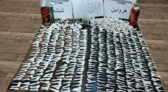 ۱۲ کیلوگرم مواد مخدر در استان بوشهر کشف شد