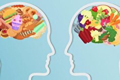ارتباط بین کیفیت رژیم غذایی و توانایی‌های شناختی