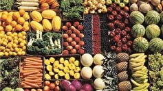 میوه‌های گرمسیری در سیستان‌وبلوچستان ظرفیتی برای ارزآوری