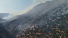 آتش‌سوزی کوه‌های زاگرس در مرحله لکه‌گیری است